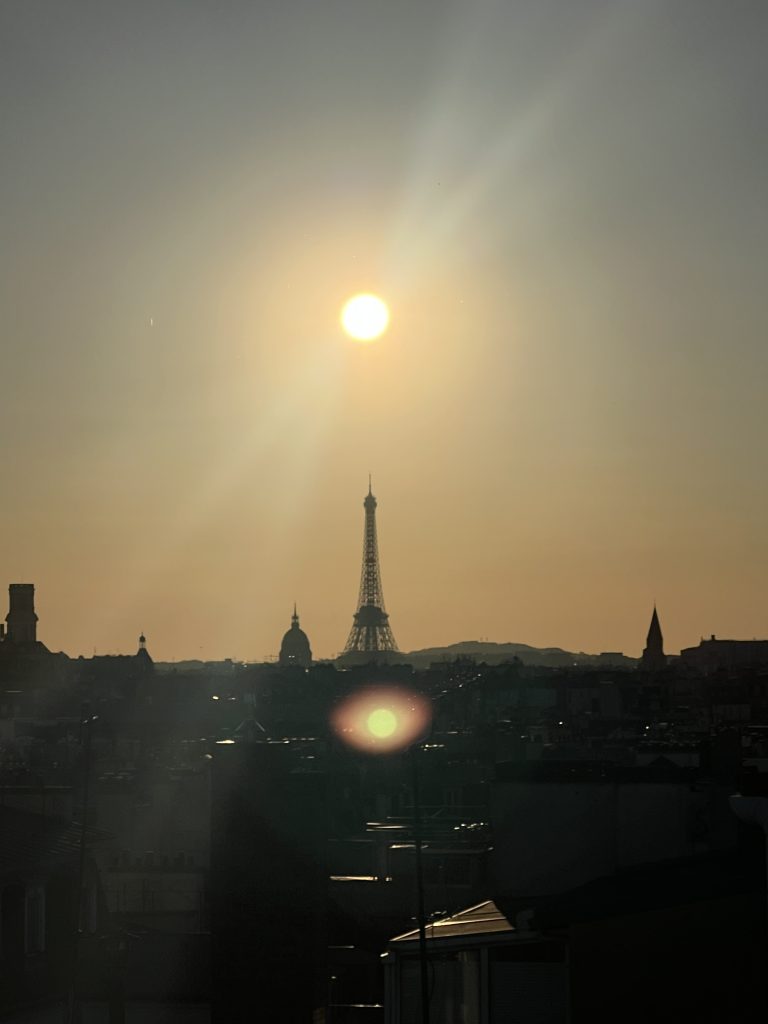 Rooftop view in Paris France of Eiffel Tower